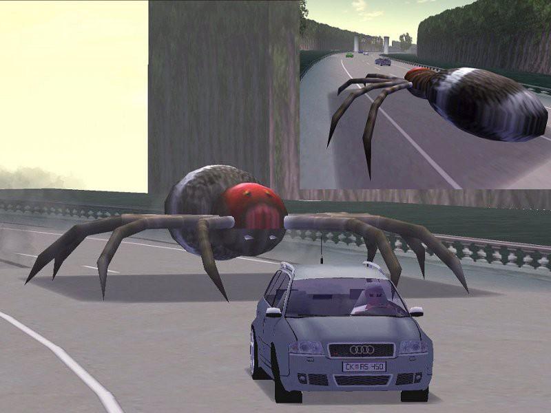 Spider