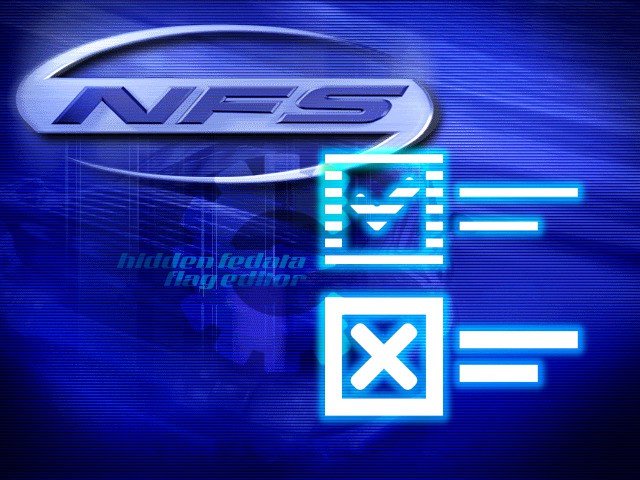 NFSHS Hidden FEDATA Flag Editor