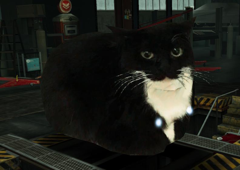 Maxwell the carryable cat for nfs world