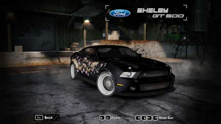 2010 Ford Shelby GT500 Super Snake