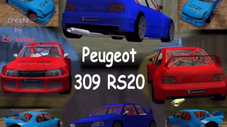 Peugeot 309 RS20