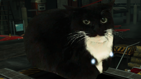 Maxwell the carryable cat for nfs world