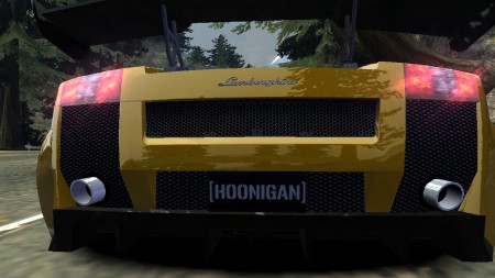 Hoonigan License Plate