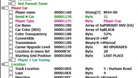 Run Speed Modifier (Cheat Engine Table), Topic