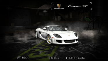 Porsche Carrera GT with Special Vinyl