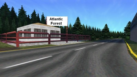 Atlantic Forest