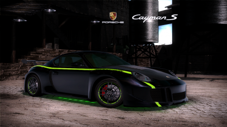 Porsche Cayman S (Treasure Hunter)